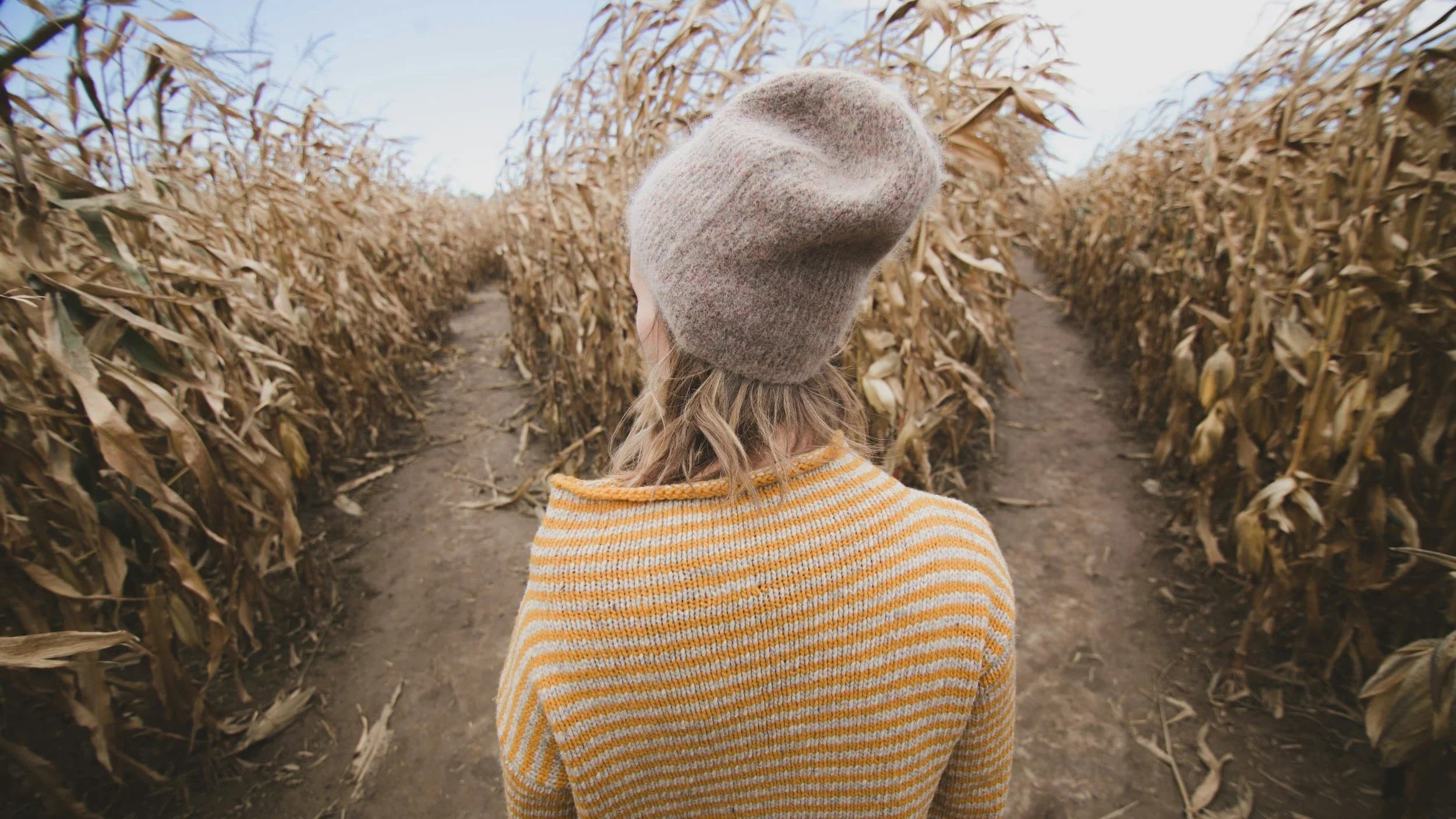 The Blame Game: Another Branch in the Child-Free Decision Tree